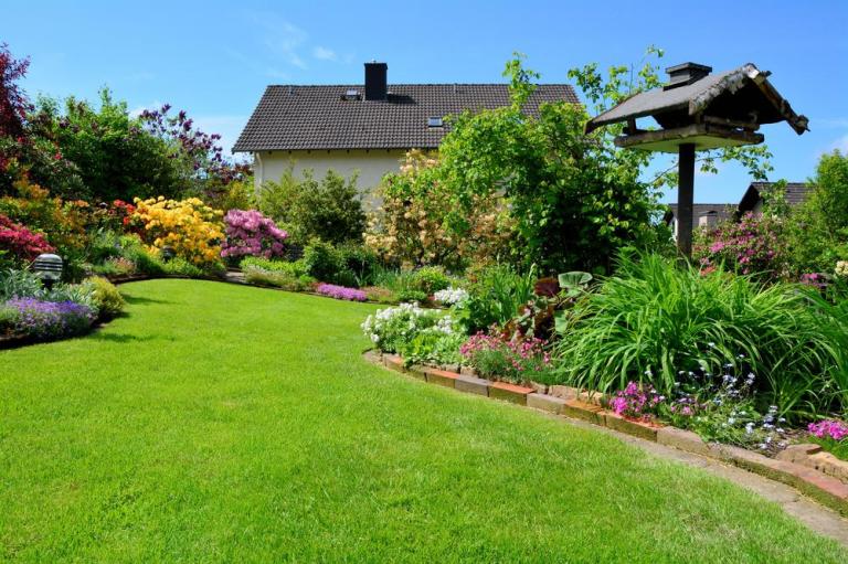 Entretien de jardin à Geispolsheim, conseils d'expert
